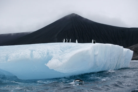 South Sandwich Islands