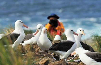 Falkland Islands - South Georgia - Elephant Island - Antarctica - Polar Circle