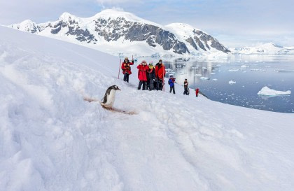 Antarctica - Discovery and learning + Long hikes