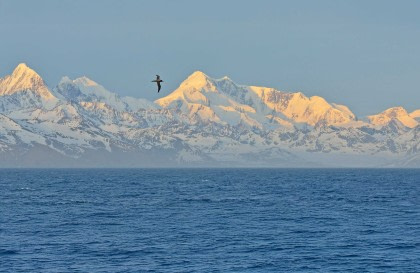 Atlantic Odyssey incl. Antarctic Peninsula to Cape Verde