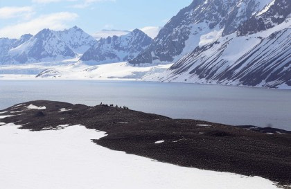 17 Days Extensive Arctic Ocean - North Spitsbergen Explorer