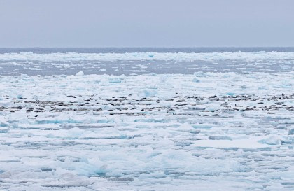 19 Days Extensive Arctic Ocean - North Spitsbergen Explorer