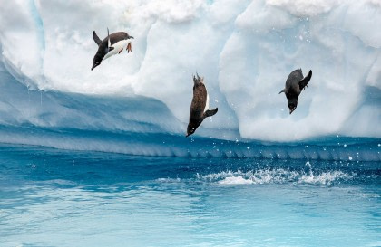 Antarctica & the Polar Circle - Deep South Discovery Voyage