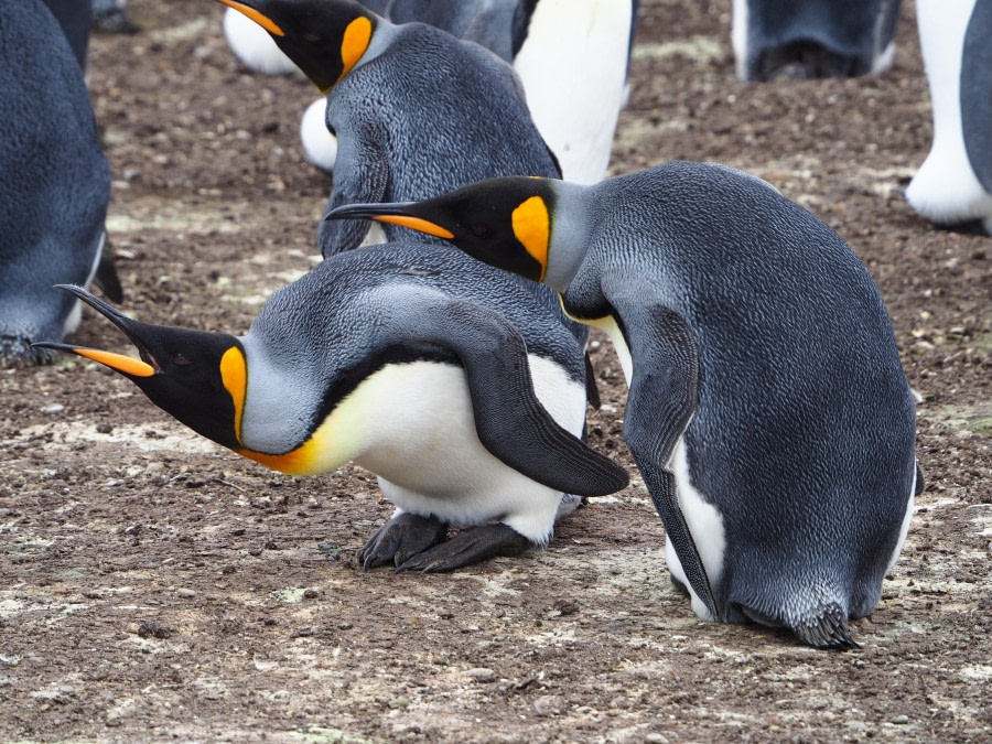 Go away from my family