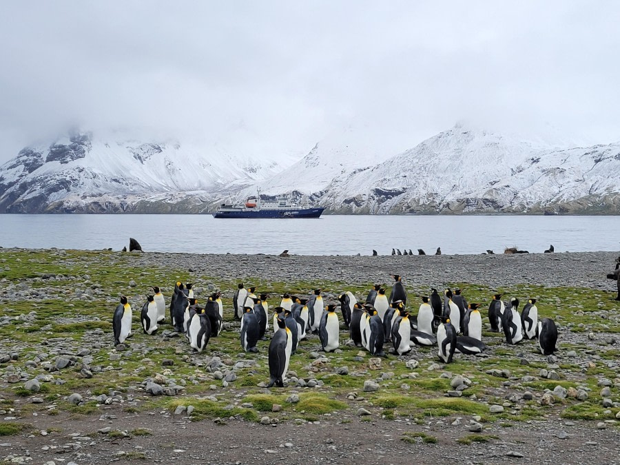 Plancius bring us to this fascinating place, Fortuna Bay