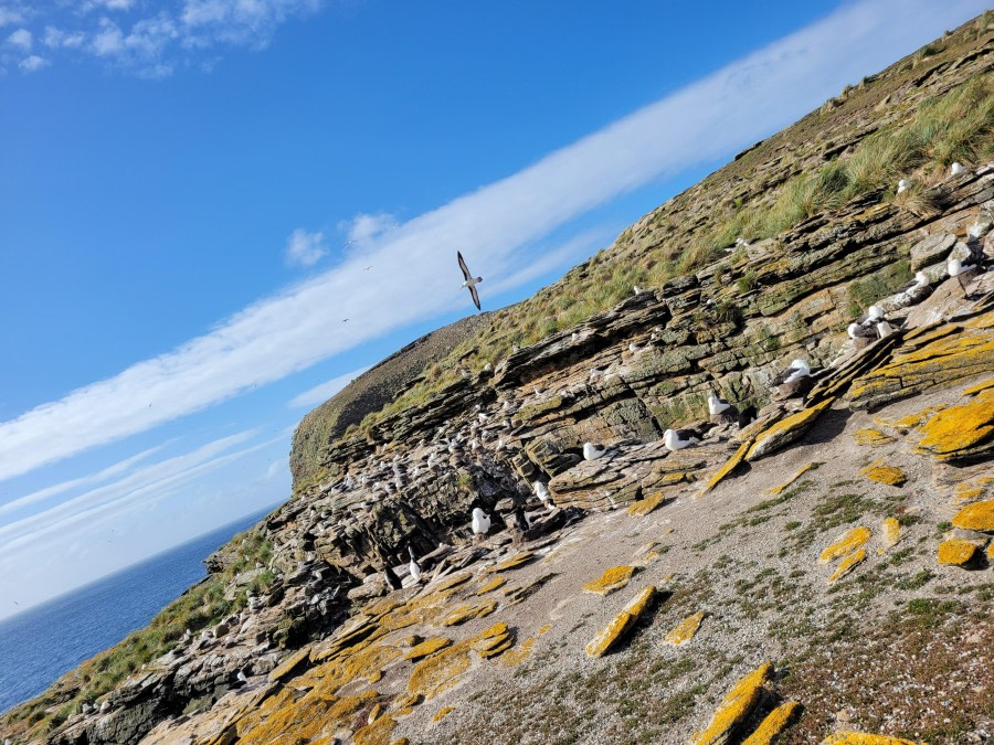 You deserve Freedom & Happiness @ New Island