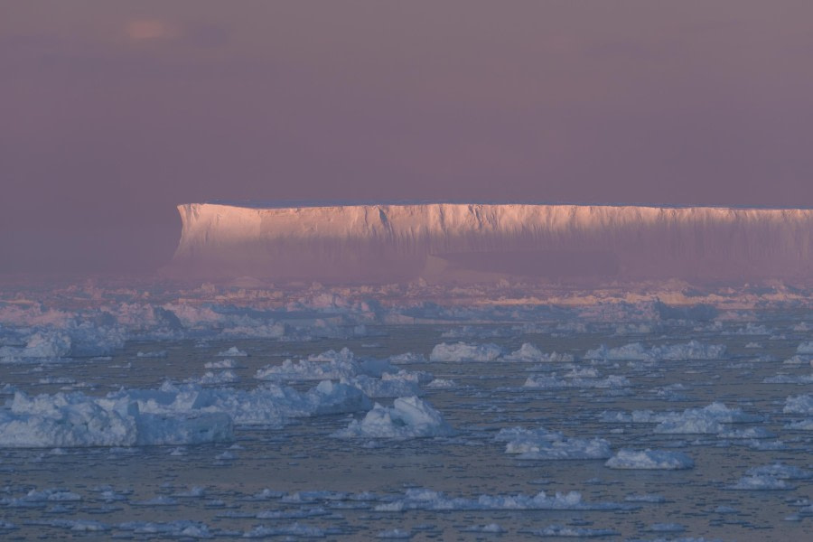 Pink Iceberg
